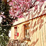 Apartamento Gemuetliche Oekologische Ferienwohnung Eg Innenstadt *