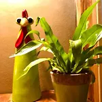 Gemuetliche Oekologische Ferienwohnung Eg Innenstadt Apartamento Wernigerode