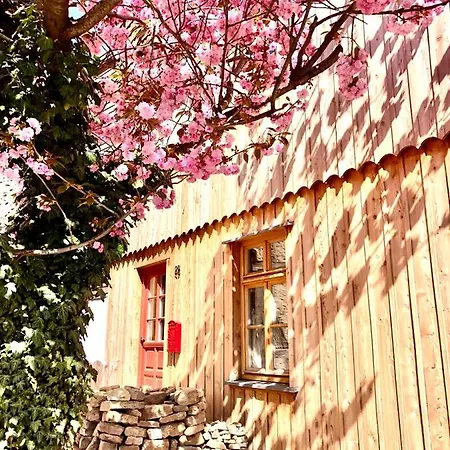 Apartment Exklusive ökologische Eg *