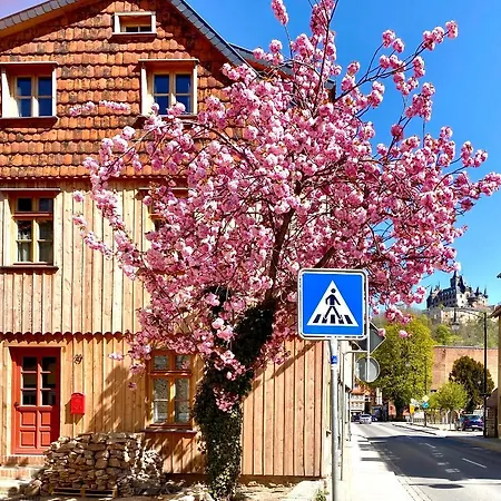 Gemuetliche Oekologische Eg Innenstadt ヴェルニゲローデ