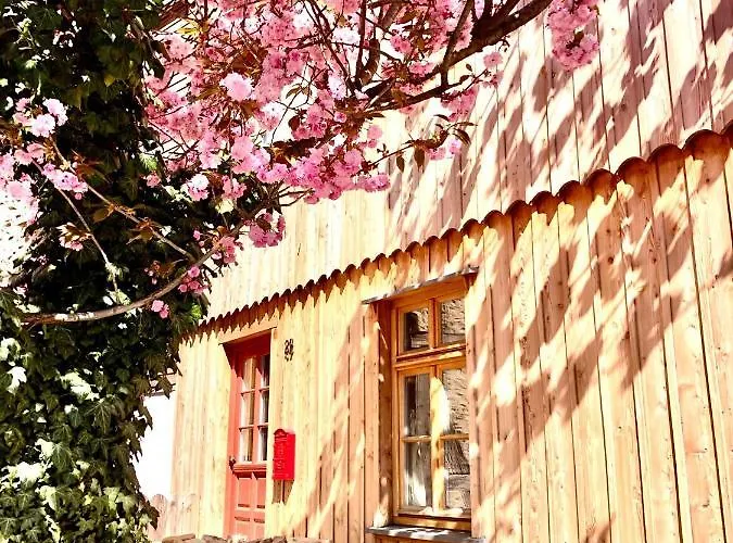 דירה Gemuetliche Oekologische Ferienwohnung Eg Innenstadt *