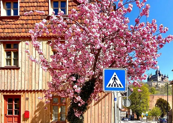 Exklusive Oekologische Eg Wernigerode