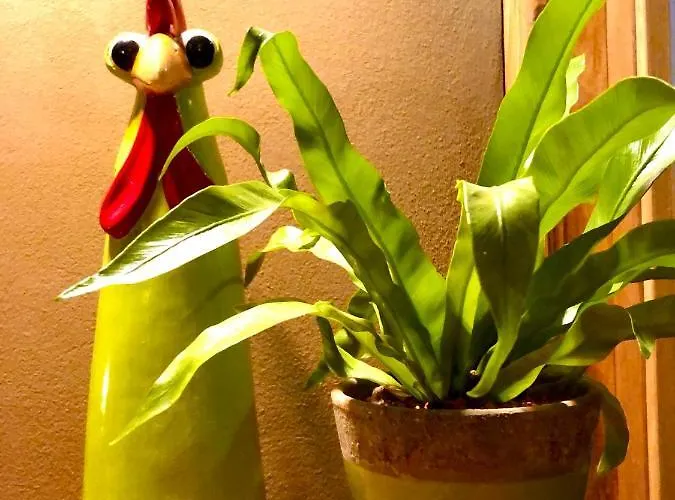 Exklusive Oekologische Eg Apartmán Wernigerode